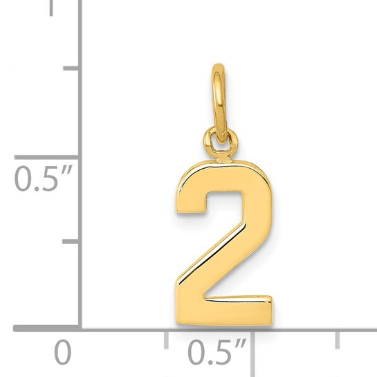 14kt Yellow Gold Small Polished Number 2 Charm