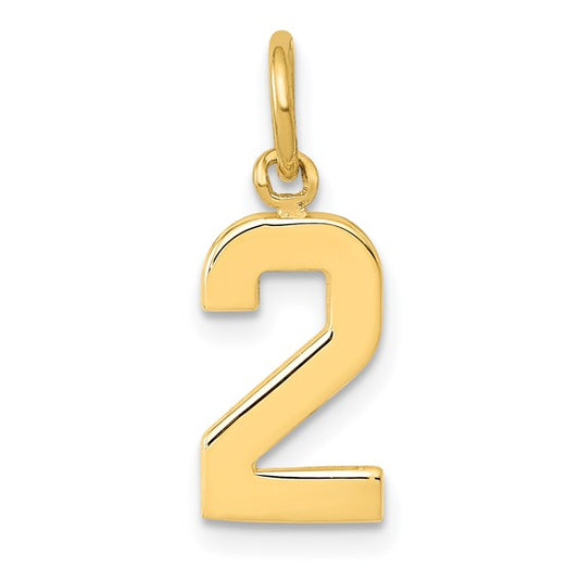14kt Yellow Gold Small Polished Number 2 Charm