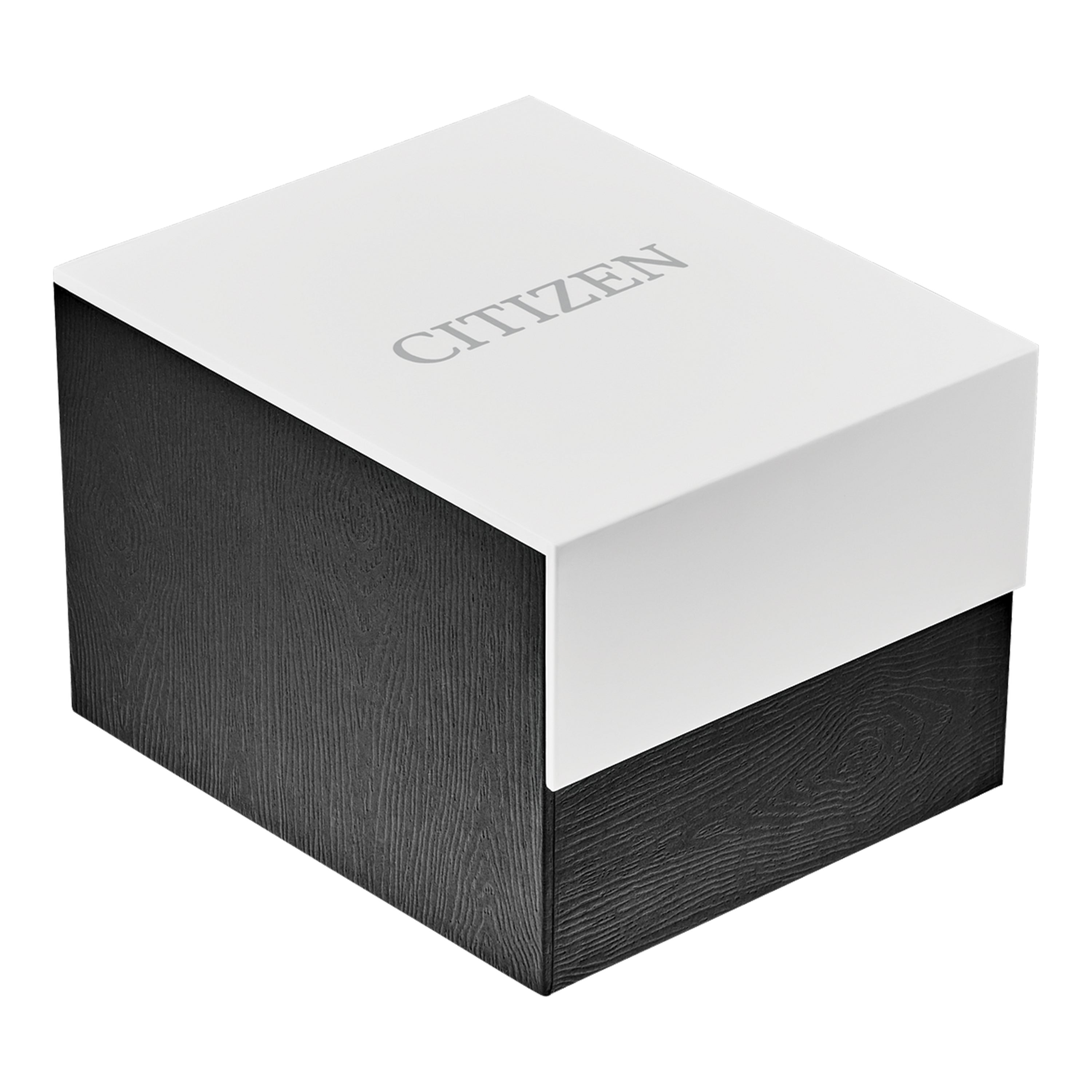 CITIZEN MEN’S ECO DRIVE WATCH