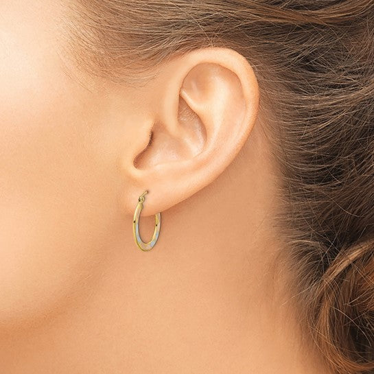 14kt Yellow Gold w/White and Rose Rhodium Diamond-cut Hoop Earrings
