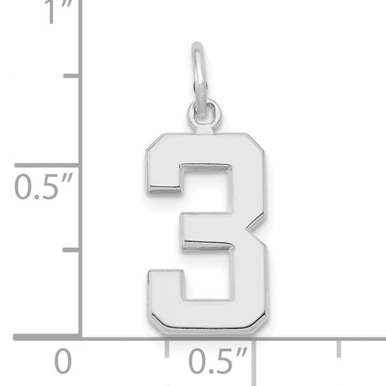 14kt White Gold  Medium Polished Number 3 Charm