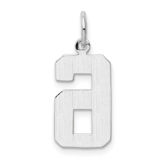 14kt White Gold Medium Polished Number 6 Charm