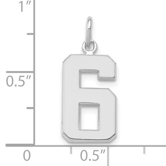 14kt White Gold Medium Polished Number 6 Charm