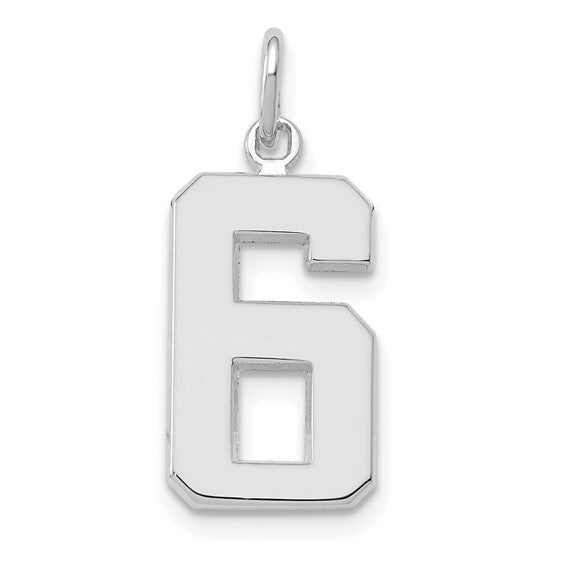 14kt White Gold Medium Polished Number 6 Charm