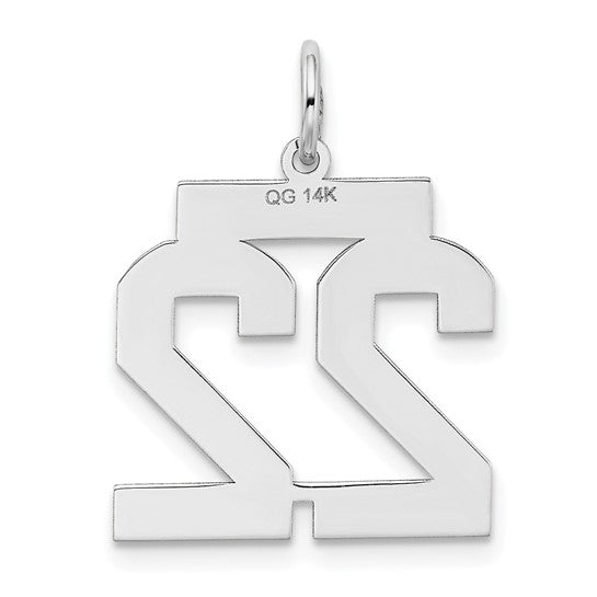 14kt White Gold Medium Satin Number 22 Charm
