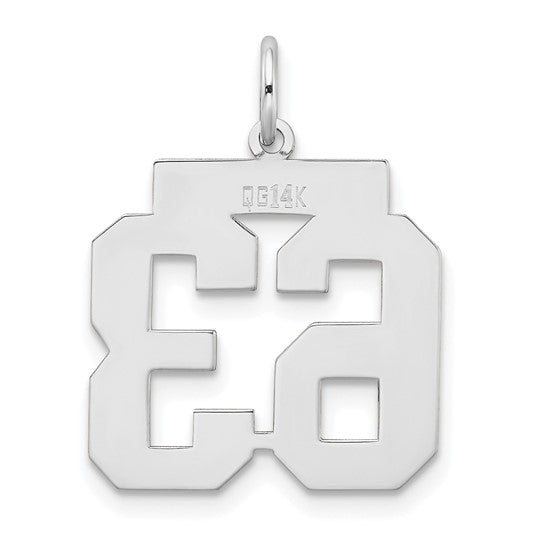 14kt white gold Medium Satin Number 63 Charm