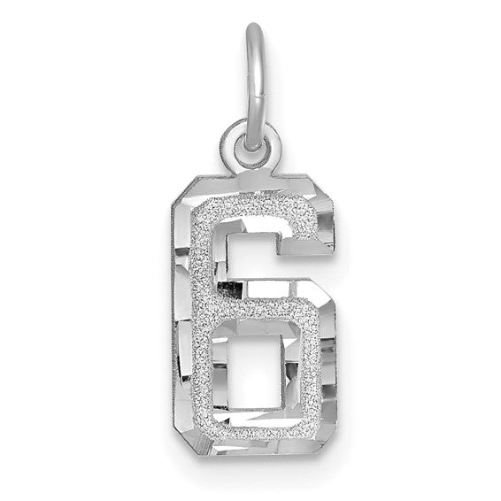 14kt White Gold Small Brushed Diamond-cut Number 6 Charm