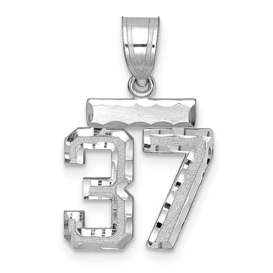 14kt White Gold Small Brushed Diamond-cut Number 37 Charm