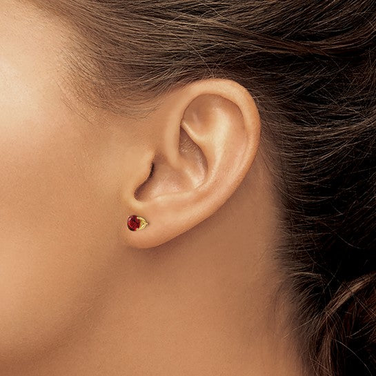 14kt Yellow Gold 5mm Garnet Earrings - January