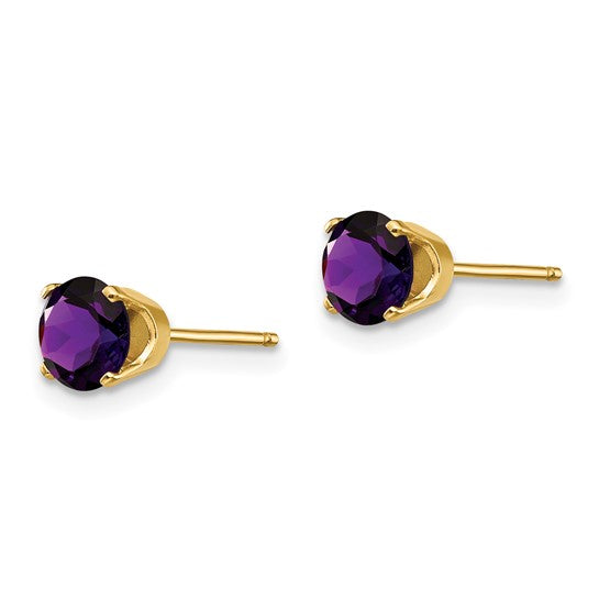 14kt Yellow Gold 5mm Amethyst Earrings - February
