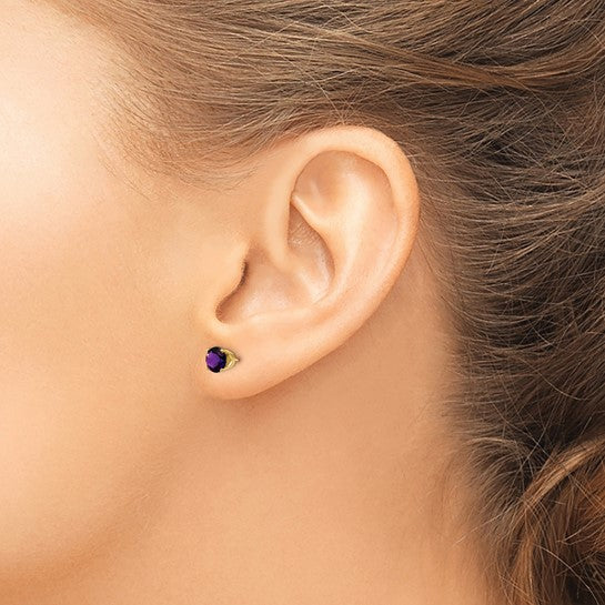 14kt Yellow Gold 5mm Amethyst Earrings - February