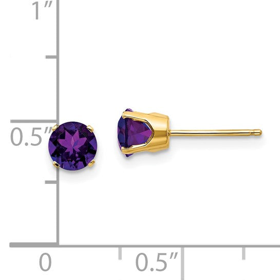 14kt Yellow Gold 5mm Amethyst Earrings - February