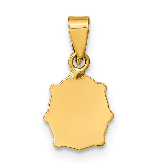 14kt Yellow Gold Polished Red/Black Enamel Ladybug Pendant