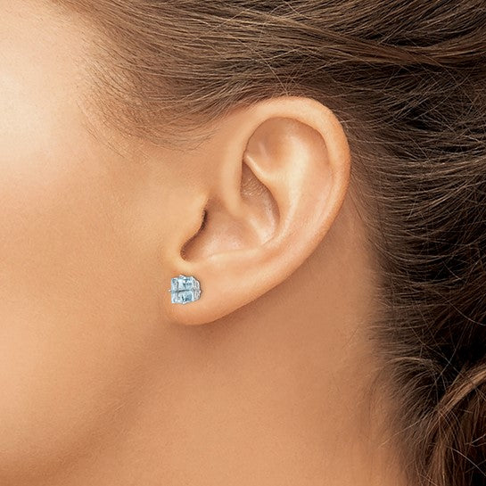 14kt White Gold Aquamarine Earrings