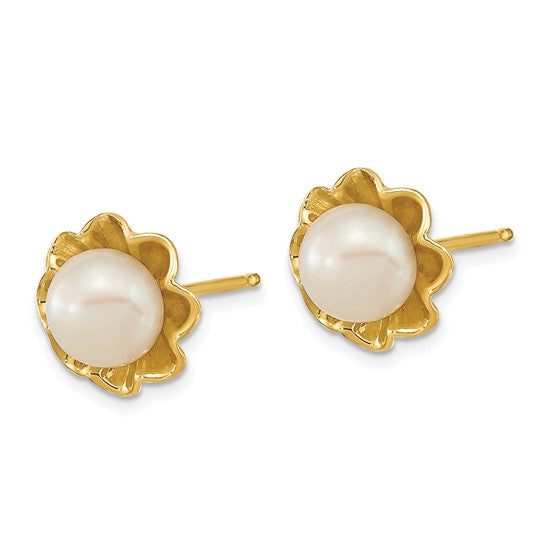 14kt Yellow Gold 5-6mm White Button Freshwater Cultured Pearl Post Earrings