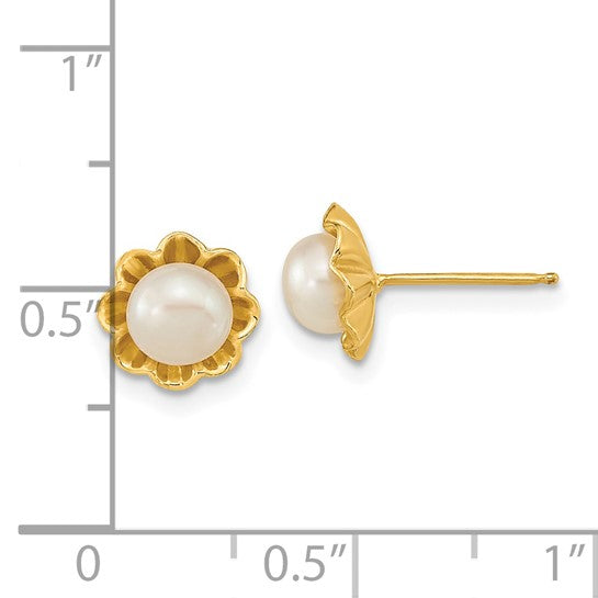 14kt Yellow Gold 5-6mm White Button Freshwater Cultured Pearl Post Earrings