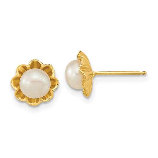 14kt Yellow Gold 5-6mm White Button Freshwater Cultured Pearl Post Earrings