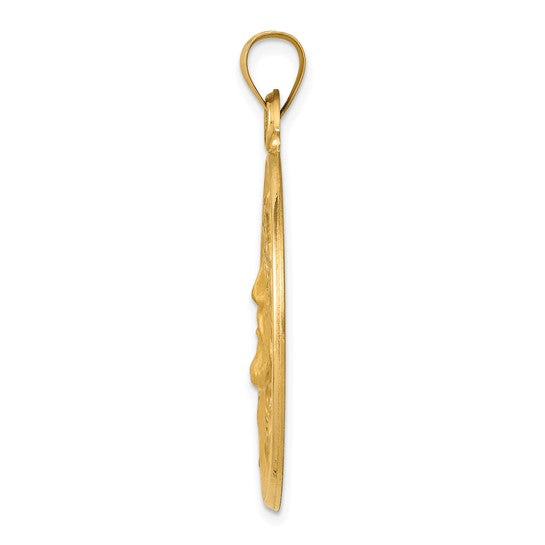 14kt Yellow Gold Polished and Satin Face of Jesus Medal Hollow Pendant