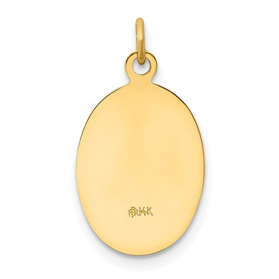14kt Yellow Gold Polished and Satin Our Lady of Guadalupe Medal Pendant