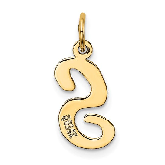 14kt Yellow Gold Medium Script Letter S Initial Charm