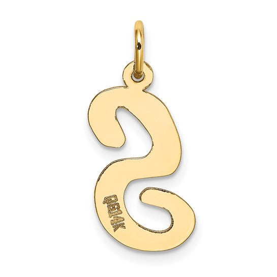 14kt Yellow Gold Large Script Letter S Initial Charm