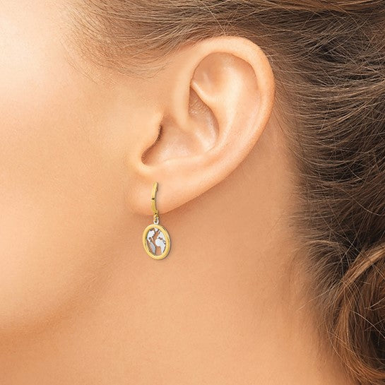 14KT Yellow Gold Polished White Rhodium Earth Dangle Earrings