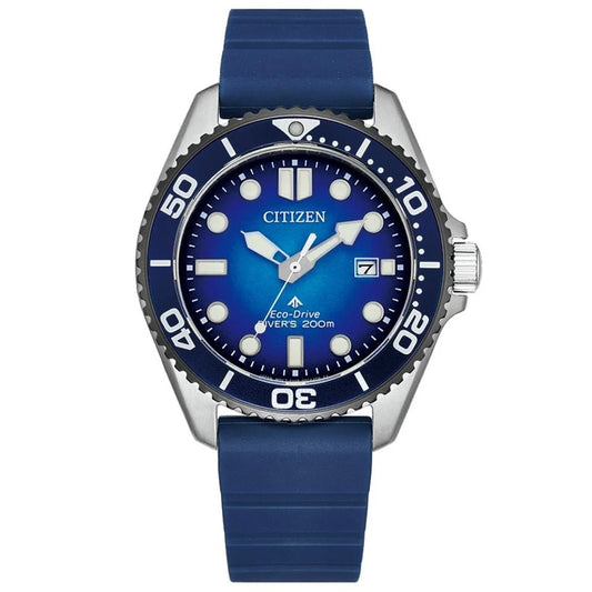 CITIZEN PROMASTER DIVER’S WATCH