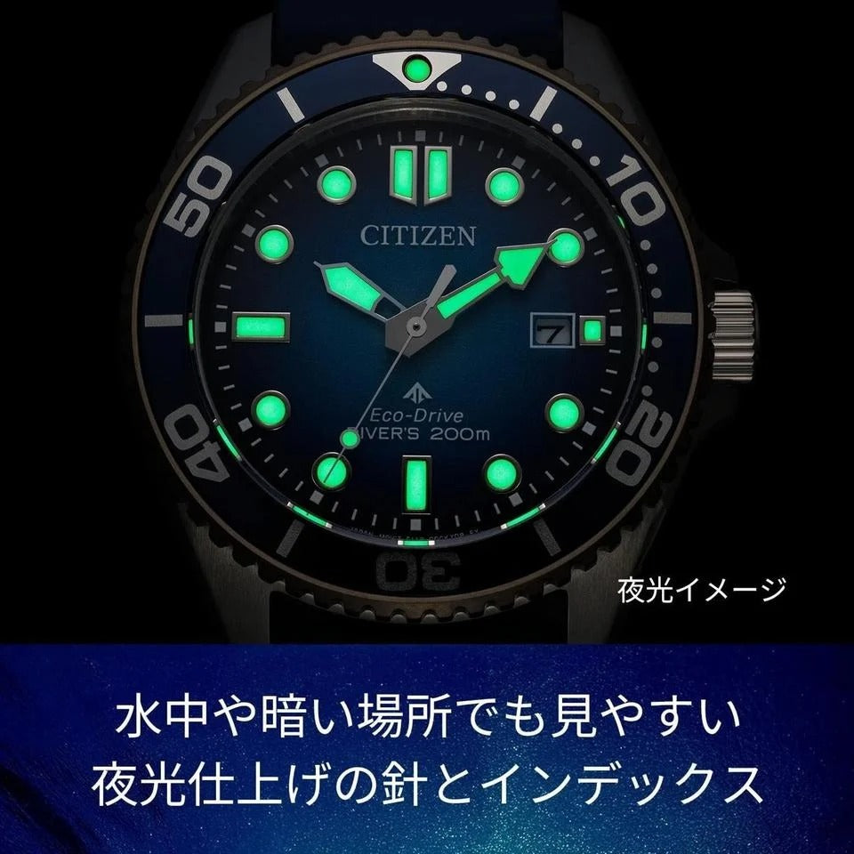 CITIZEN PROMASTER DIVER’S WATCH