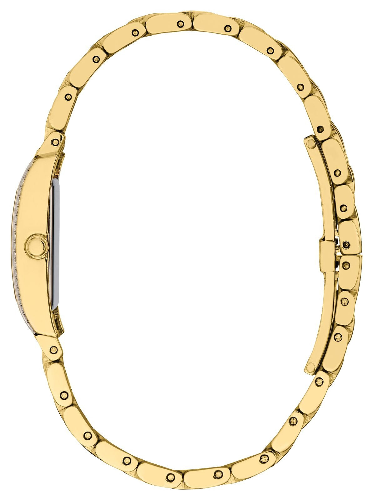 Citizen WOMENS eco drive watch