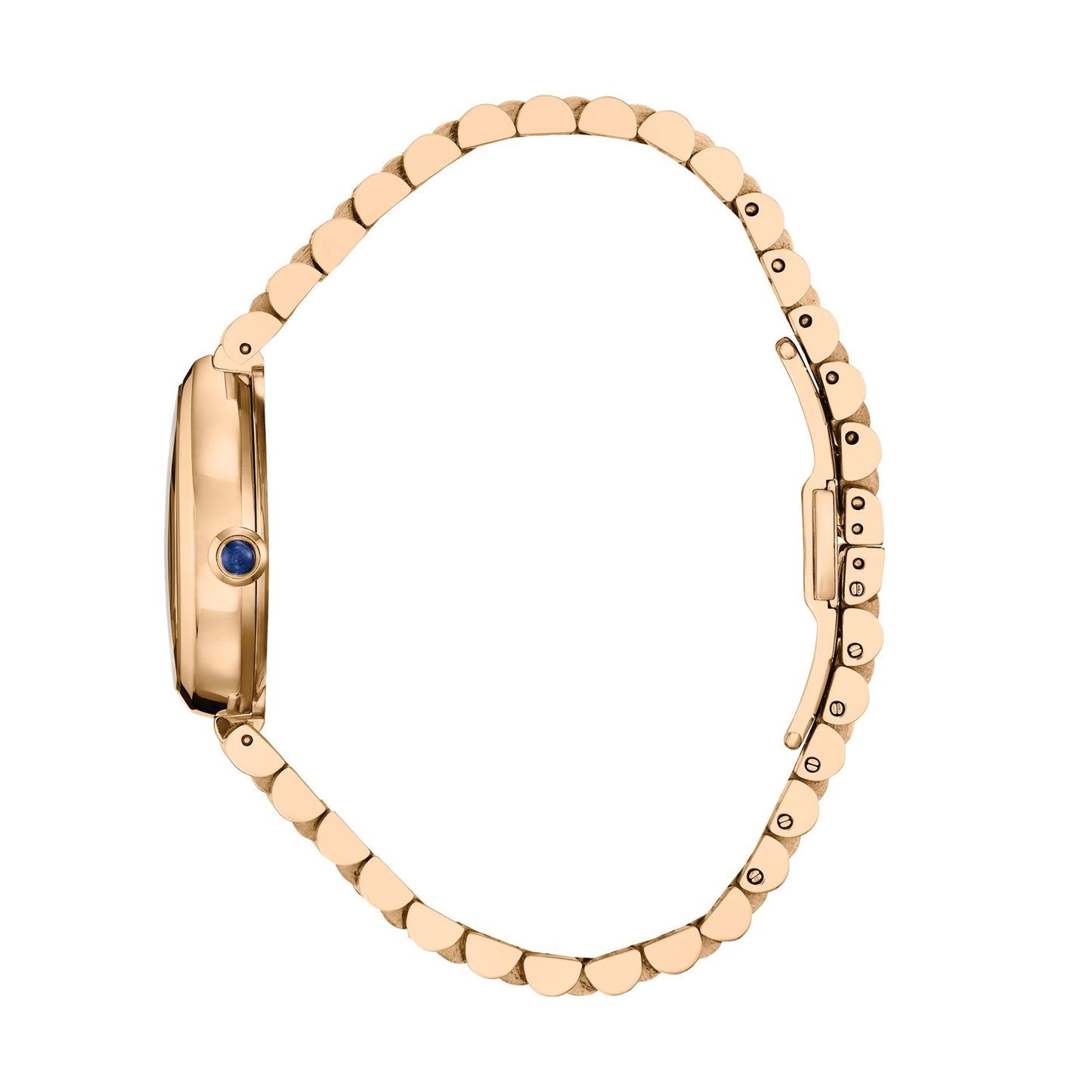 Citizen WOMENS eco drive watch