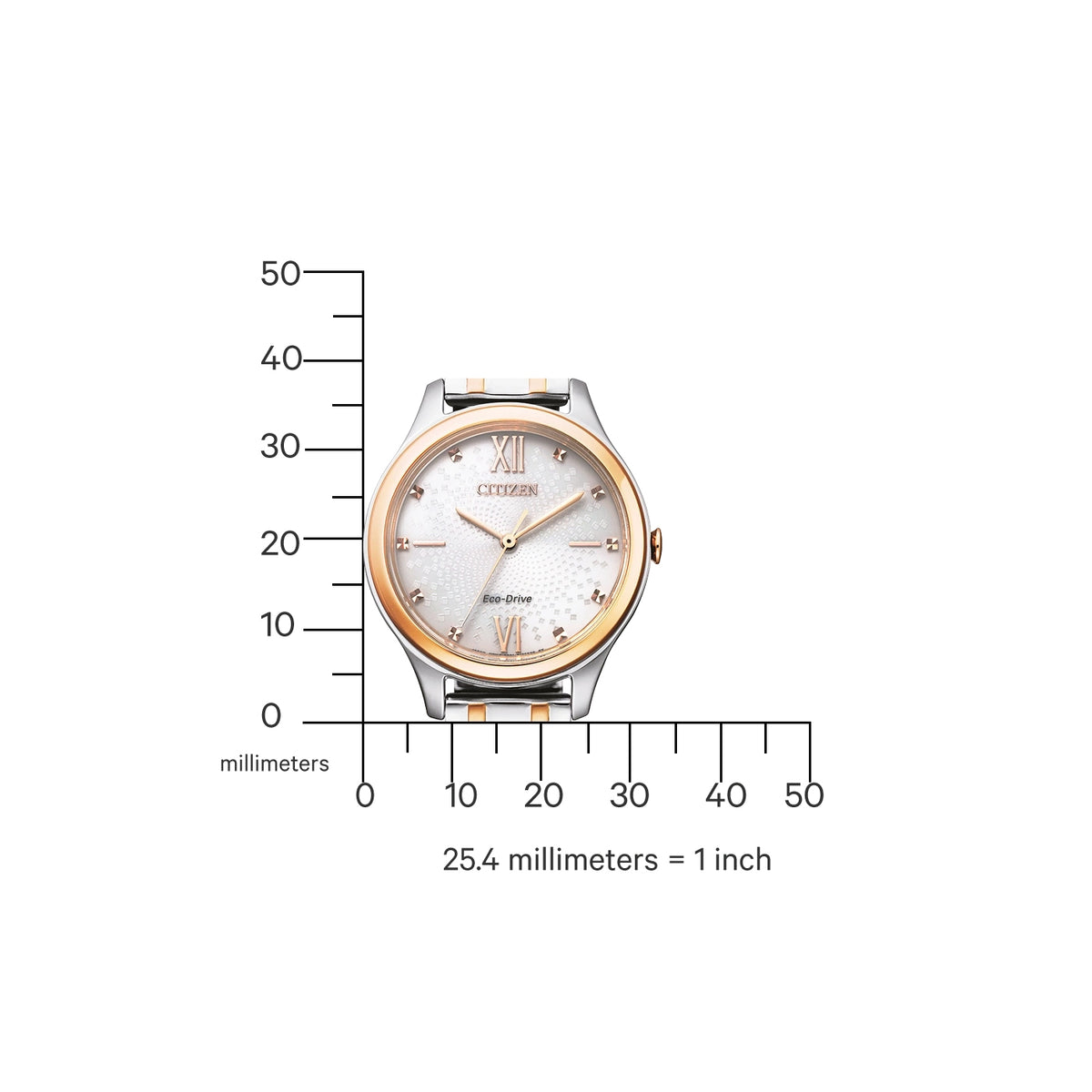 Citizen Eco Ladies' Watch in Two-Tone Stainless Steel
