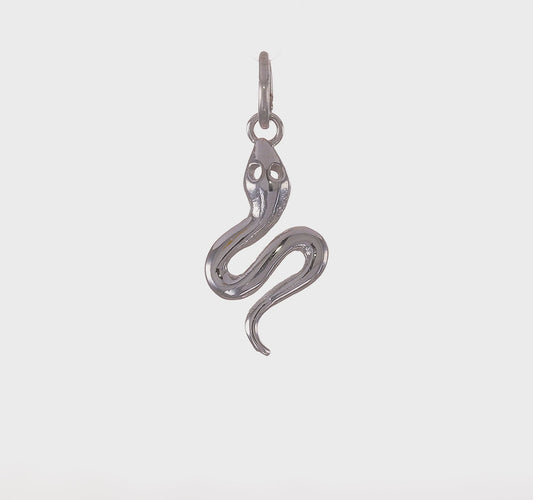 14kt White Gold Solid Polished Snake Charm