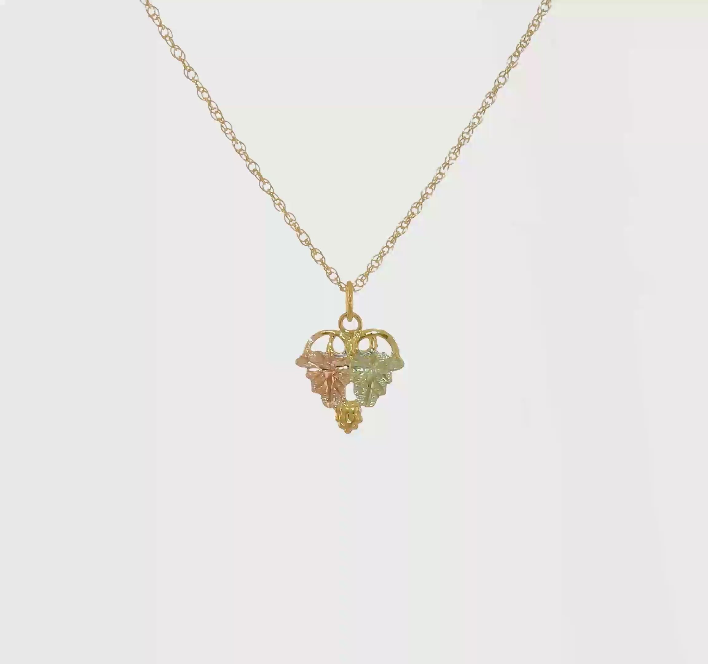 10kt Tri-Color Black Hills Gold Necklace