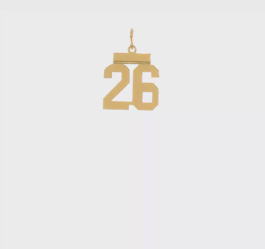 14kt Yellow Gold Small Satin Number 26 Charm