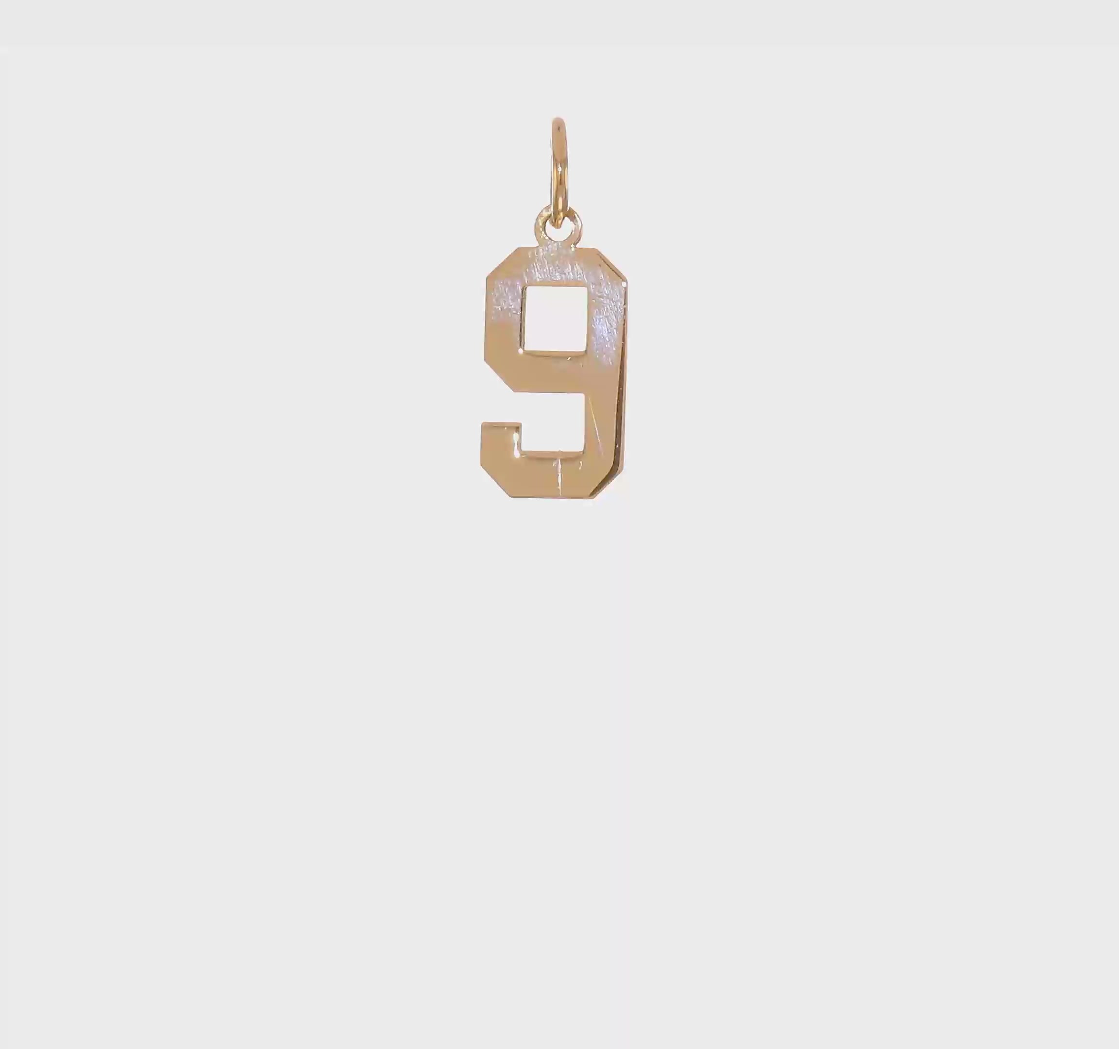 14kt Yellow Gold Small Polished Number 9 Charm