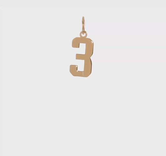 14kt Yellow Gold Small Polished Number 3 Charm