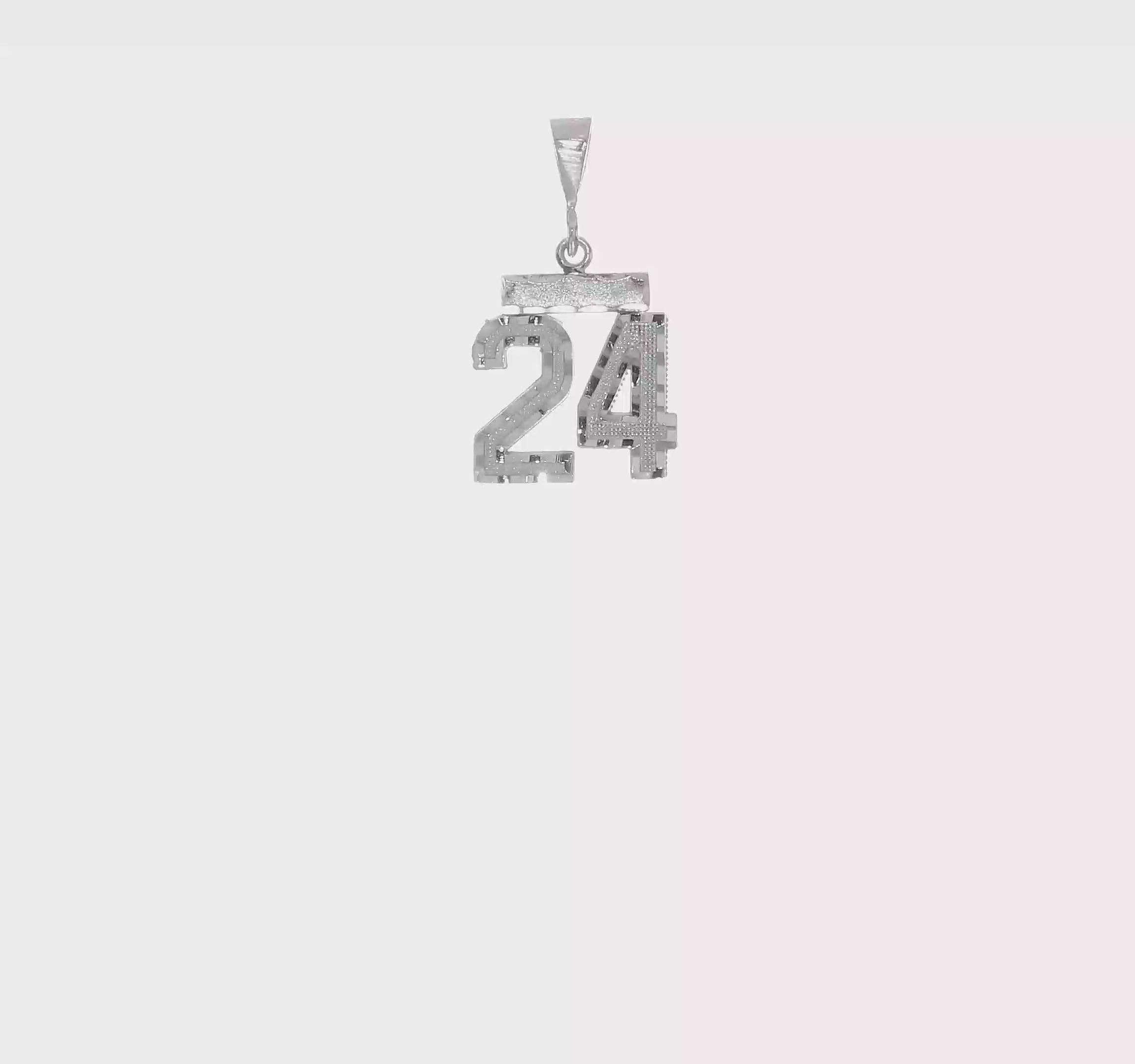 14kt White Gold Small Brushed  Diamond-cut Number 24 Charm