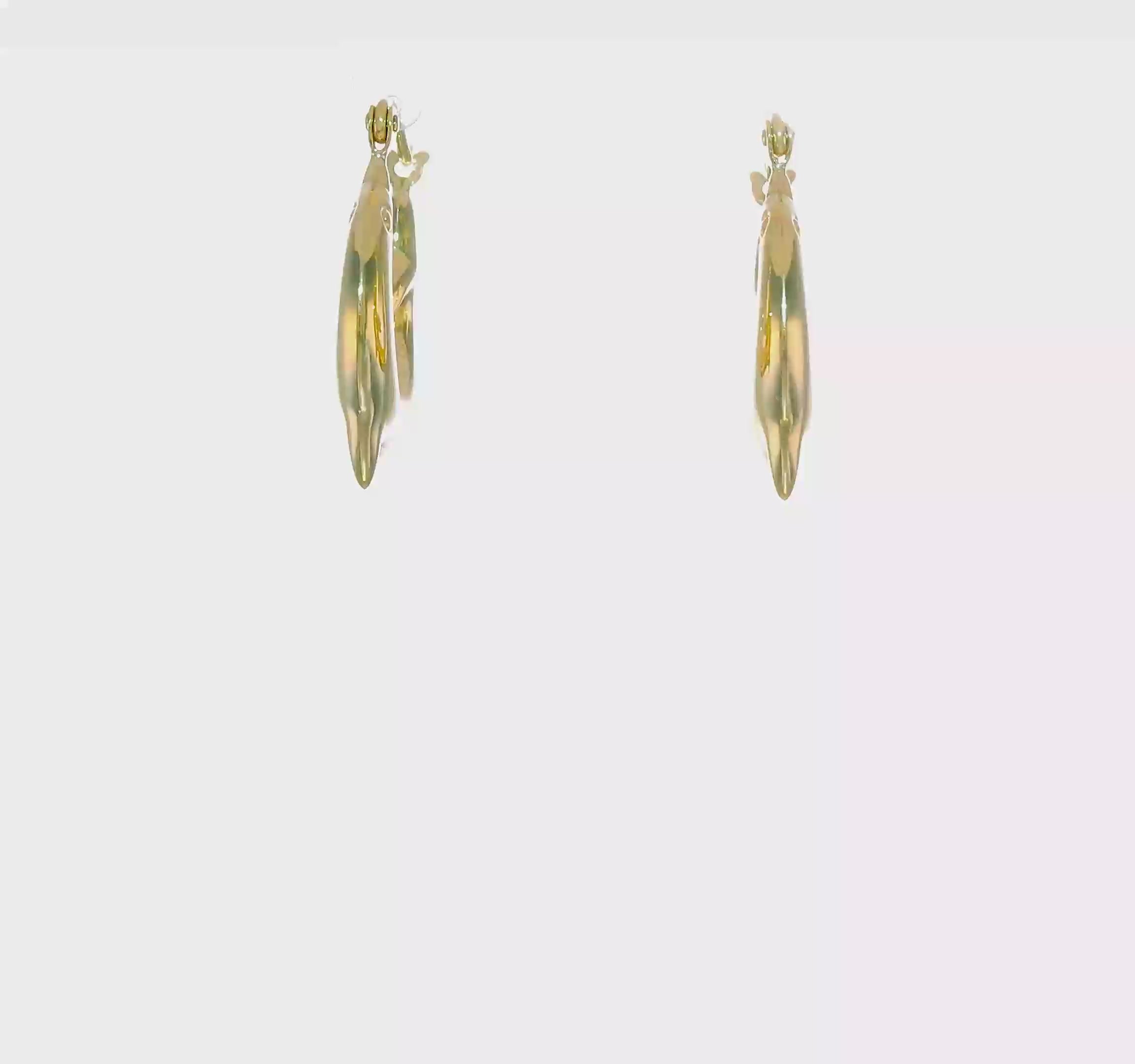 10kt Yellow Gold Polished Dolphin Hoop Earrings