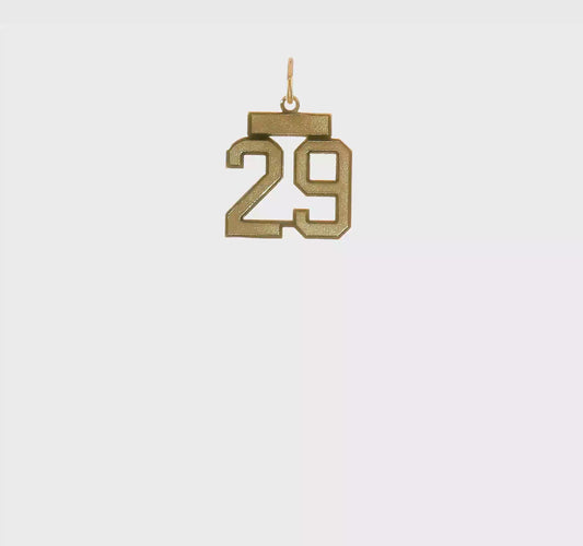14kt Yellow Gold Small Satin Number 29 Charm