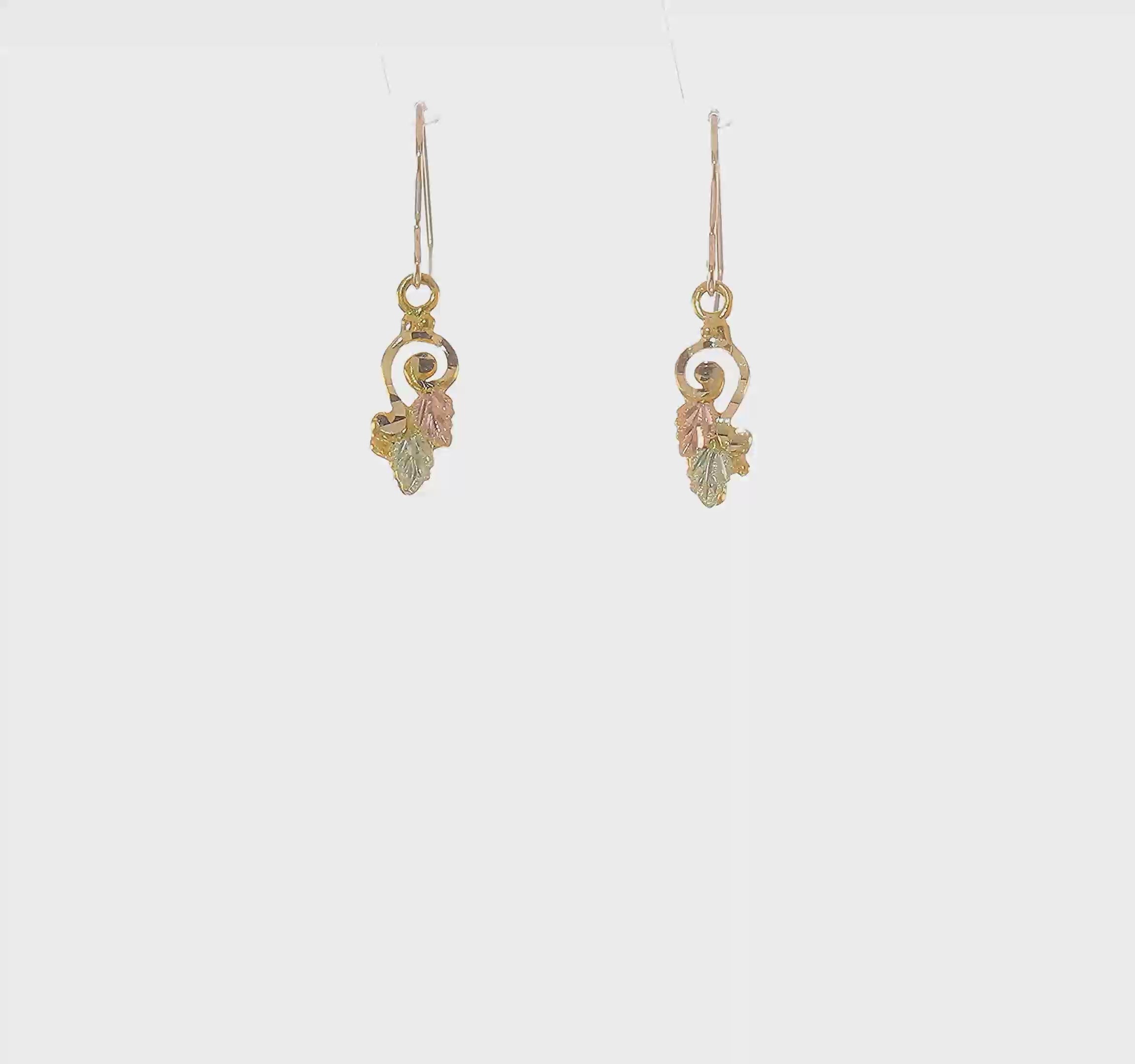 10kt Tri-color Black Hills Gold Shepherd Hook Earrings