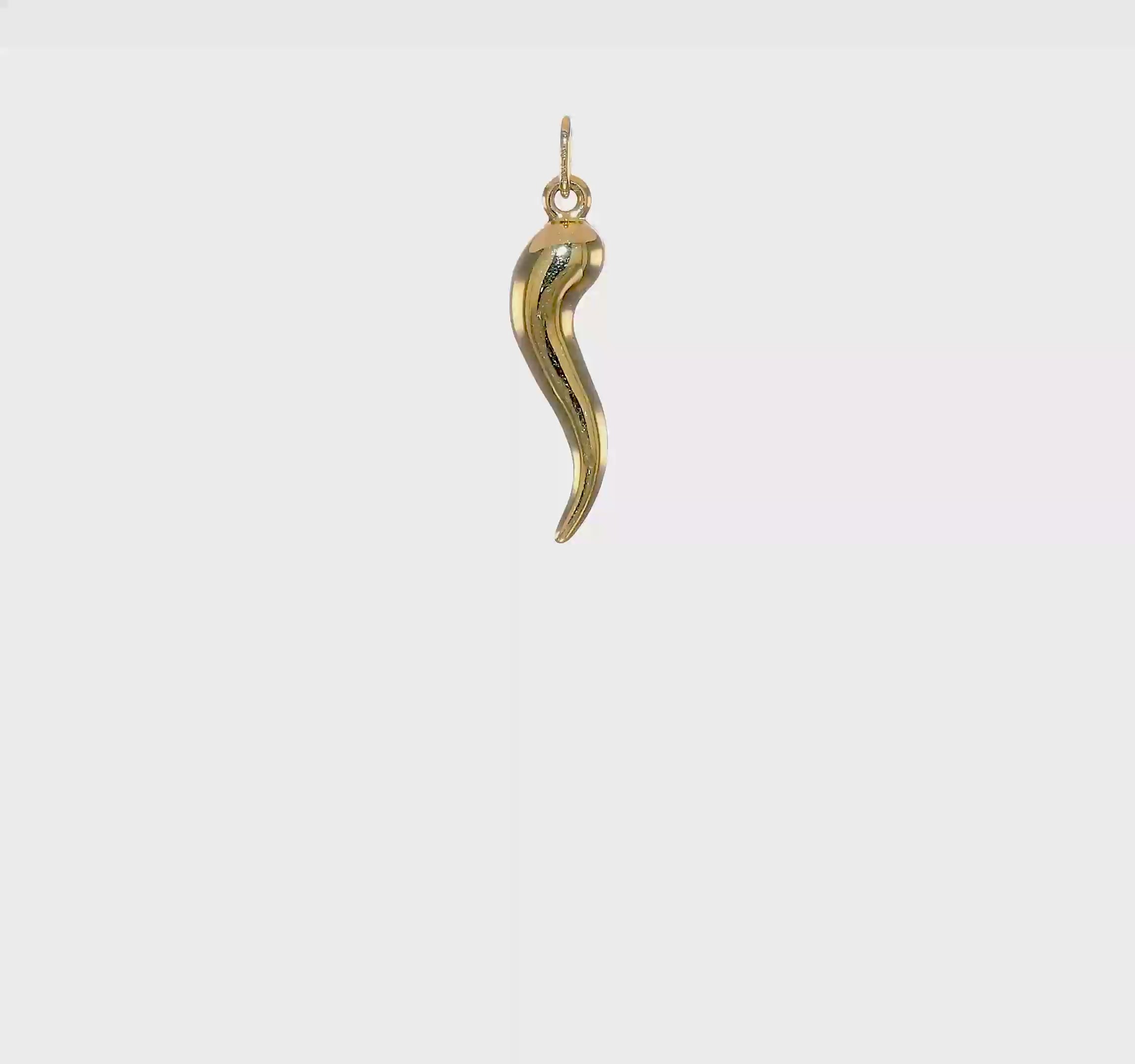 10kt Yellow Gold 3D Italian Horn Charm