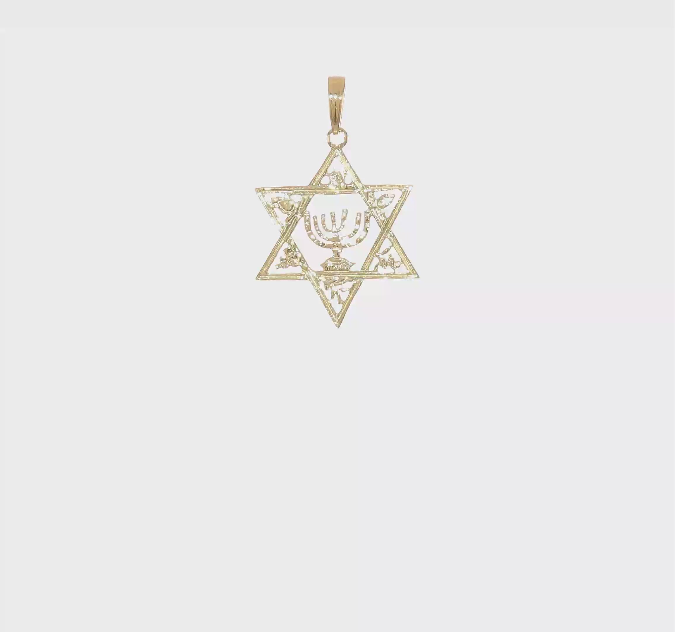 14kt Yellow Gold Star of David w/Menorah Pendant