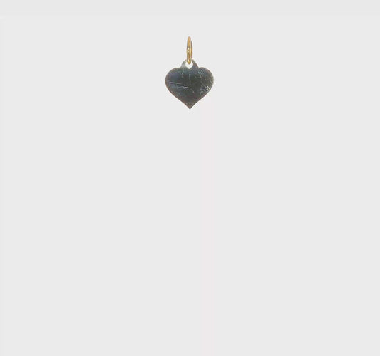 14KT Yellow Gold Heart Disc Charm