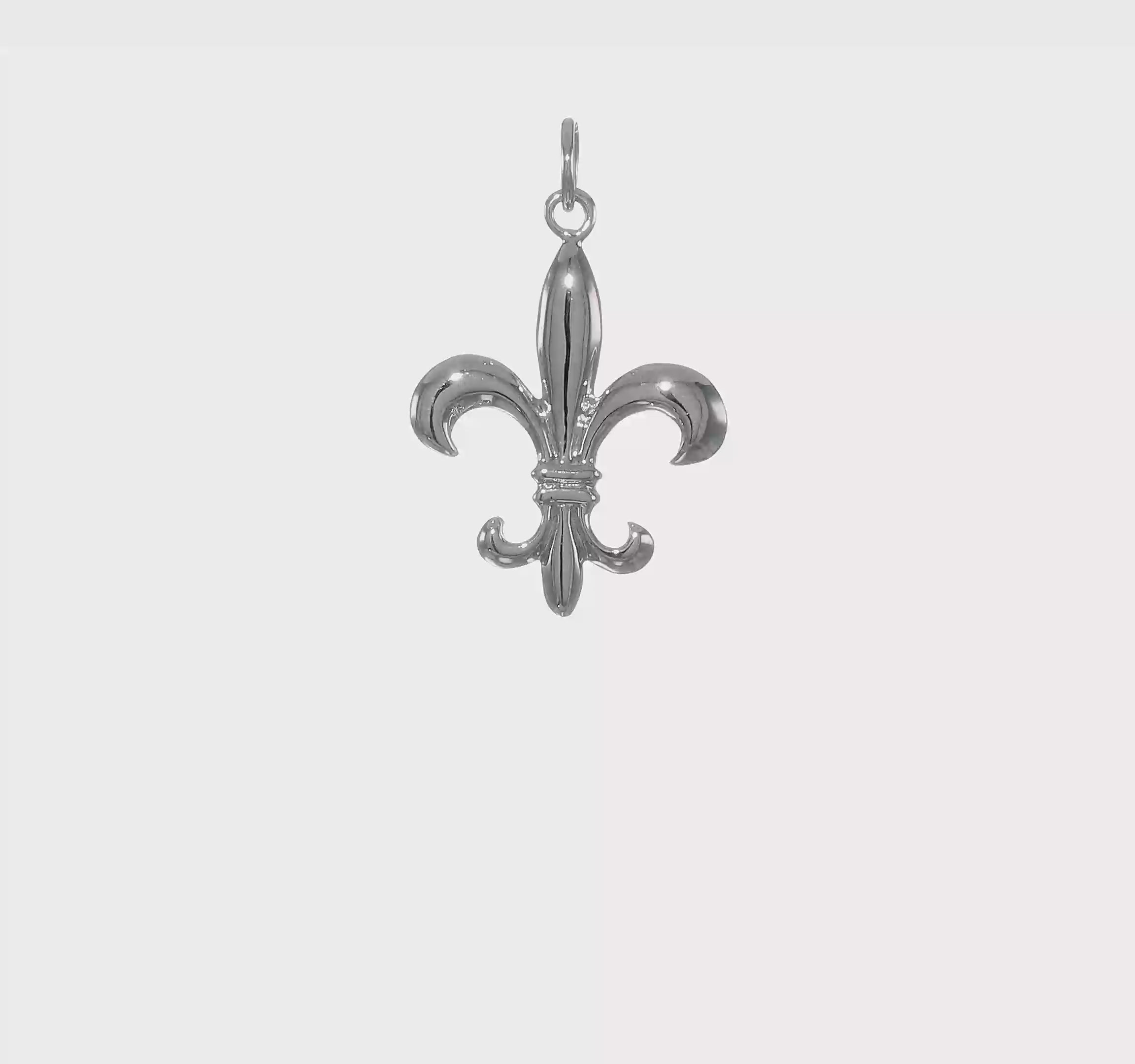 14kt White Gold Solid Polished 3-D Fleur de Lis Charm