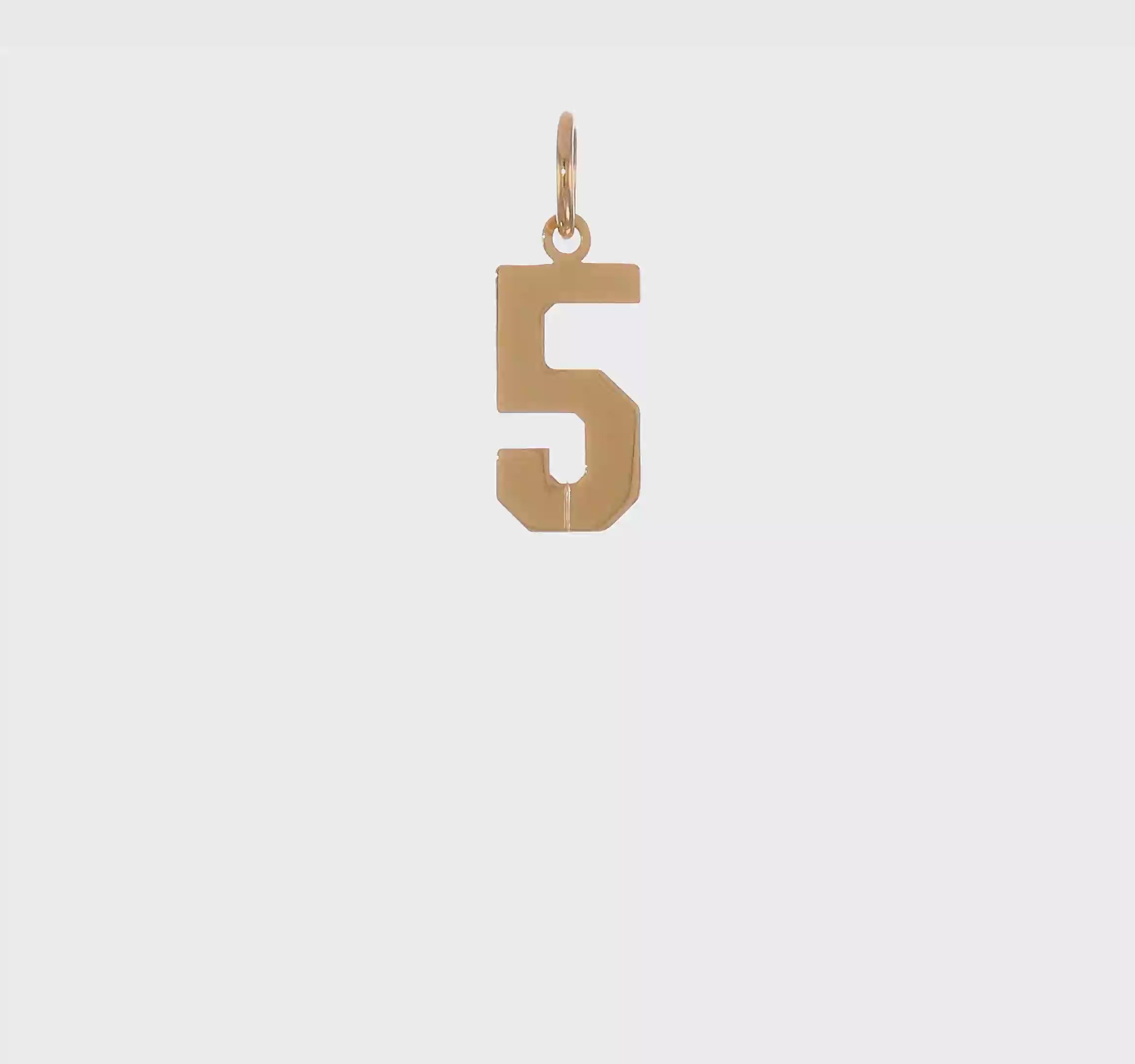 14kt Yellow Gold Small Polished Number 5 Charm