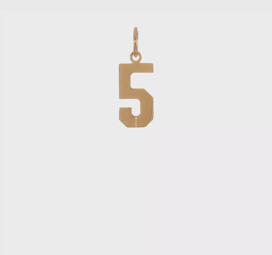 14kt Yellow Gold Small Polished Number 5 Charm