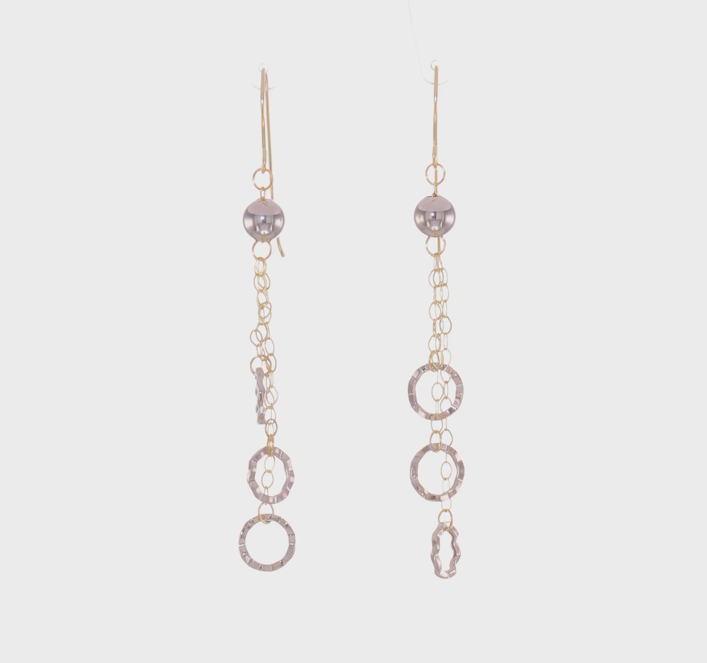 14kt Yellow Gold Two-tone Circle Dangle Earrings