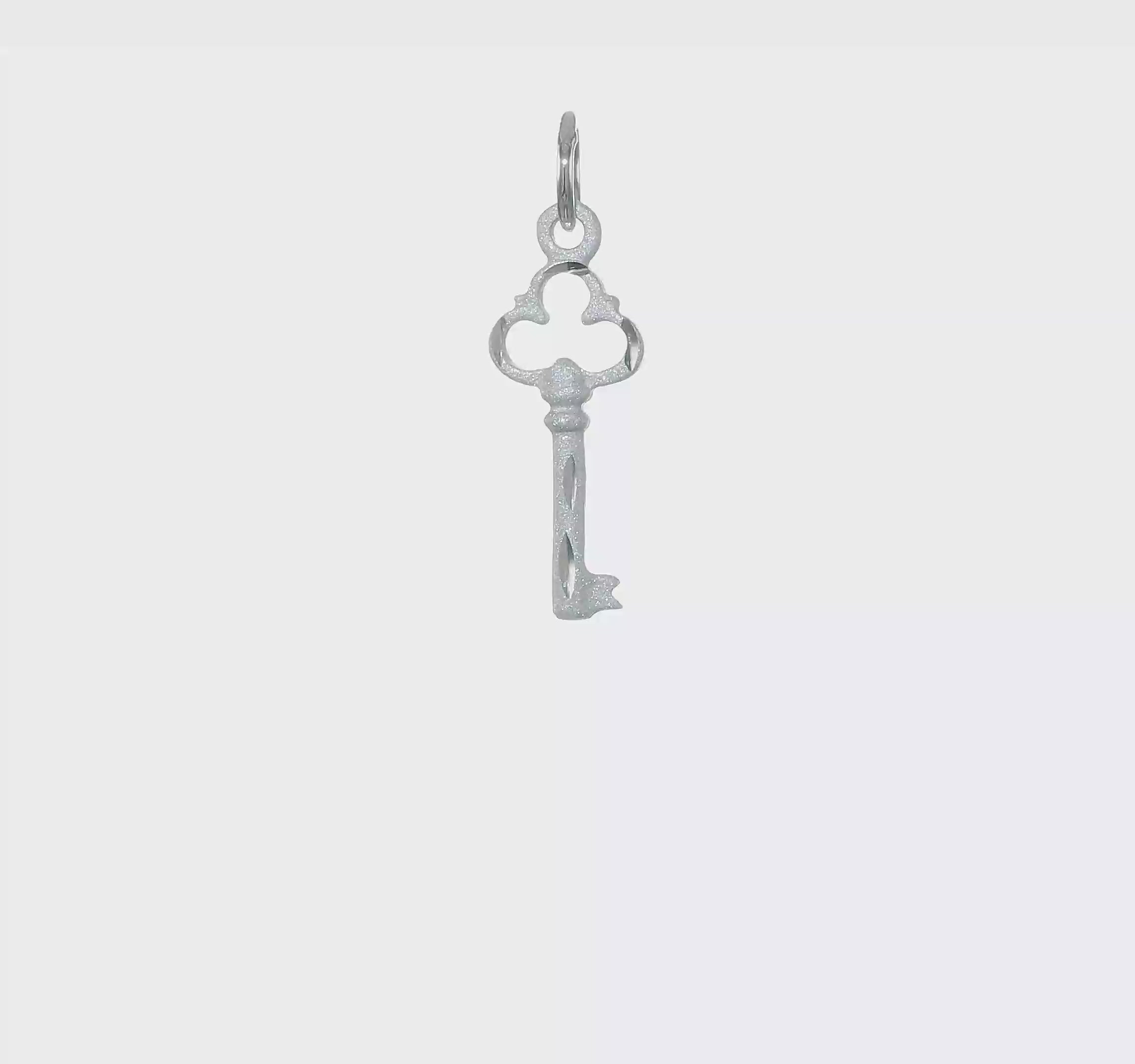 14kt White Gold Polished Diamond-cut 3D Key Charm
