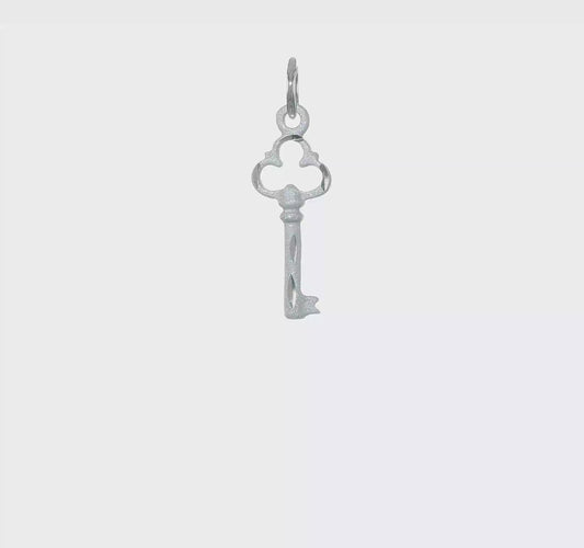 14kt White Gold Polished Diamond-cut 3D Key Charm