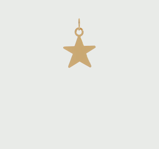 14KT Yellow Gold Star Disc Charm